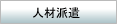 �l�ޔh��